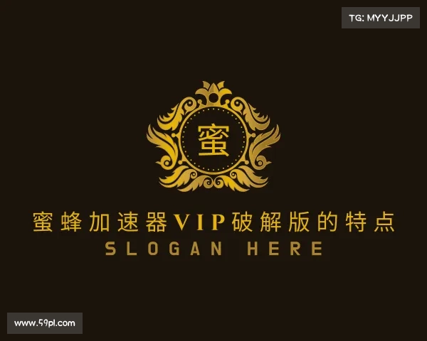 发现蜜蜂加速器vip破解版的特点